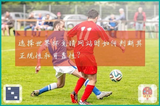 选择世界杯竞猜网站时如何判断其正规性和可靠性？