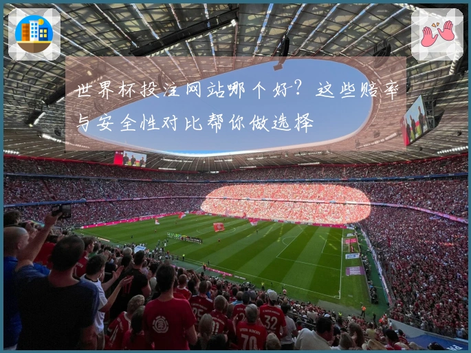 世界杯投注网站哪个好？这些赔率与安全性对比帮你做选择