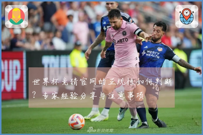世界杯竞猜官网的正规性如何判断？专家经验分享与注意事项